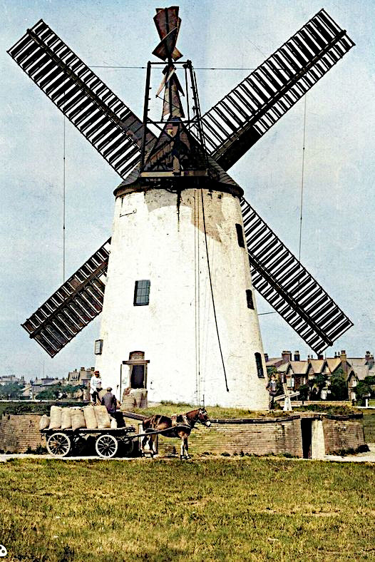 Windmill with cart
