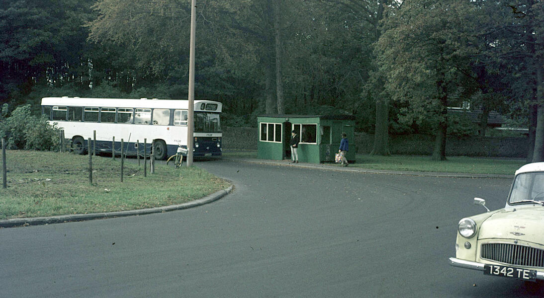 Green Drive bus shelter